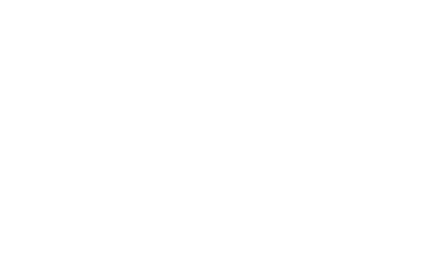 BryMar IPTV Services